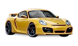 Запчасти для CAYMAN (987)