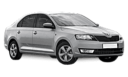 Запчасти для RAPID (NH3)