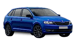 Запчасти для RAPID Spaceback (NH1)